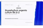 BRYOPHYLLUM ARGENTO cultum Rh D 2 Ampullen 8 ml