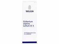 CICHORIUM STANNO cultum D 3 Dilution 50 ml