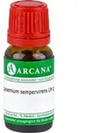 GELSEMIUM SEMPERVIRENS LM 6 Dilution 10 ml