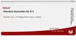 GLANDULA THYREOIDEA GL D 4 Ampullen 10 ml