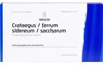 CRATAEGUS/FERRUM sidereum/Saccharum tostum Amp. 8 ml