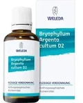 BRYOPHYLLUM ARGENTO cultum Rh D 3 Dilution 20 ml