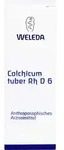COLCHICUM TUBER Rh D 6 Dilution 20 ml