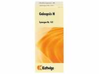 SYNERGON KOMPLEX 141 Galeopsis N Tropfen 20 ml
