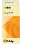 SYNERGON KOMPLEX 101 Berberis Tabletten 100 St.