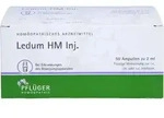 LEDUM HM Injekt Ampullen 50 St.