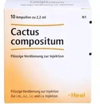 CACTUS COMPOSITUM Ampullen 10 St.
