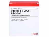 COXSACKIE-Virus A9 Injeel Ampullen 10 St.