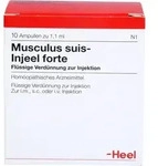 MUSCULUS SUIS Injeel forte Ampullen 10 St.