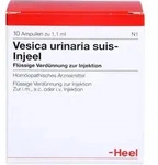 VESICA URINARIA suis-Injeel Ampullen 10 St.