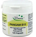 PANGAM Vitamin B15 Kapseln 120 St. (53 g)