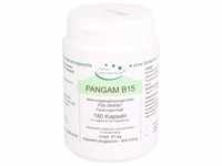 PANGAM Vitamin B15 Vegi Kapseln 180 St.