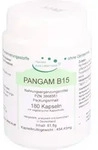 PANGAM Vitamin B15 Vegi Kapseln 180 St.