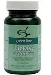 LACTASE 12.000 FCC Kapseln 60 St.