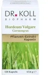 GERSTENGRAS HORDEUM vulgare Kapseln 120 St.