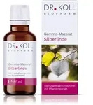 GEMMO-MAZERAT Silberlinde Dr.Koll Tilia tomen.Tro. 50 ml