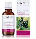 GEMMO-MAZERAT schw.Johannisbeere Dr.Koll Ribes Tro 50 ml