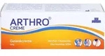 ICE POWER Arthro Creme 120 g
