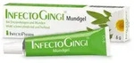 INFECTOGINGI Mundgel 6 g