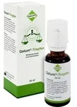 GELUM Tropfen 30 ml