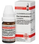RHUS TOXICODENDRON D 12 Globuli 10 g