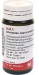 GLANDULAE SUPRARENALES comp.Globuli 20 g