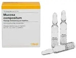 MUCOSA compositum Ampullen 10 St
