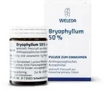 BRYOPHYLLUM 50% Pulver zum Einnehmen 50 g