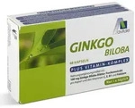 GINKGO 100 mg Kapseln+B1+C+E 48 St