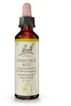 BACHBL&Uuml;TEN Chestnut Bud Tropfen 20 ml