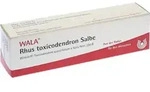 RHUS TOXICODENDRON SALBE 30 g