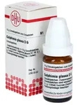GALPHIMIA GLAUCA D 6 Globuli 10 g