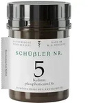 SCH&Uuml;SSLER NR.5 Kalium phosphoricum D 6 Tabletten 400 St
