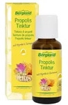 PROPOLIS TINKTUR BDIH 30 ml