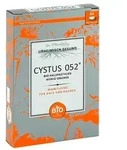 CYSTUS 052 Bio Halspastillen Honig Orange 66 St