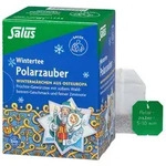 POLARZAUBER Fr&uuml;chte-Gew&uuml;rztee Bio Salus Filterbtl. 15 St