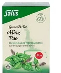 MINZ TRIO Gourmet Tee Bio Salus Filterbeutel 15 St