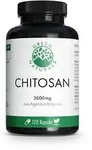 GREEN NATURALS Cholesterin Chitosan 3g vegan Kaps. 120 St