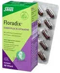 FLORADIX Eisen plus B-Vitamine Kapseln 40 St