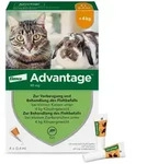 ADVANTAGE 40 mg Lsg.f.kl.Katzen/kl.Zierkaninchen 4X0.4 ml