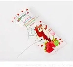 TOOTHPOP Zahnpflege-Lolli Erdbeergeschmack 1 St