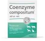 COENZYME COMPOSITUM ad us.vet.Ampullen 5X5 ml