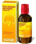 SOLIDAGO HEVERT Complex Tropfen 100 ml