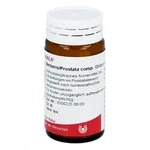 BERBERIS/PROSTATA comp.Globuli 20 g