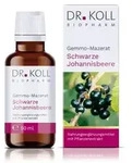 GEMMO-MAZERAT schw.Johannisbeere Dr.Koll Ribes Tro 50 ml
