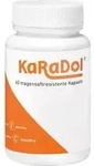 KARADOL magensaftresistente Kapseln 60 St