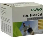 R&Ouml;WO Flexi Forte Gel 100 ml