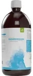 CASA SANA Darmreinigung Konzentrat 1000 ml
