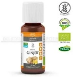 INGWER GINJER forte Tropfen 20 ml