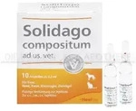SOLIDAGO COMPOSITUM ad us.vet.Ampullen 10 St